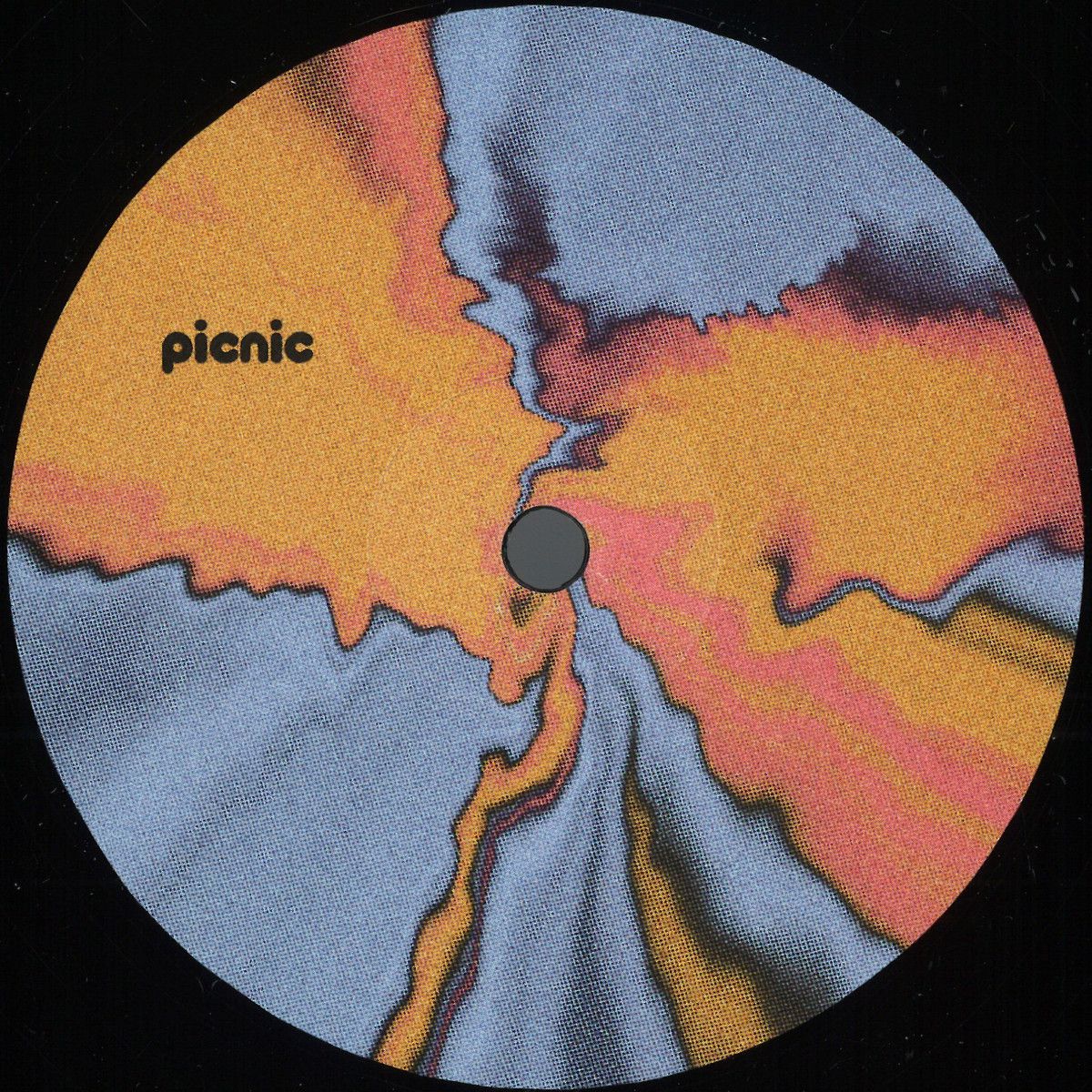 Paddy Lee - PICNIC009 | Picnic Records (PICNIC009)