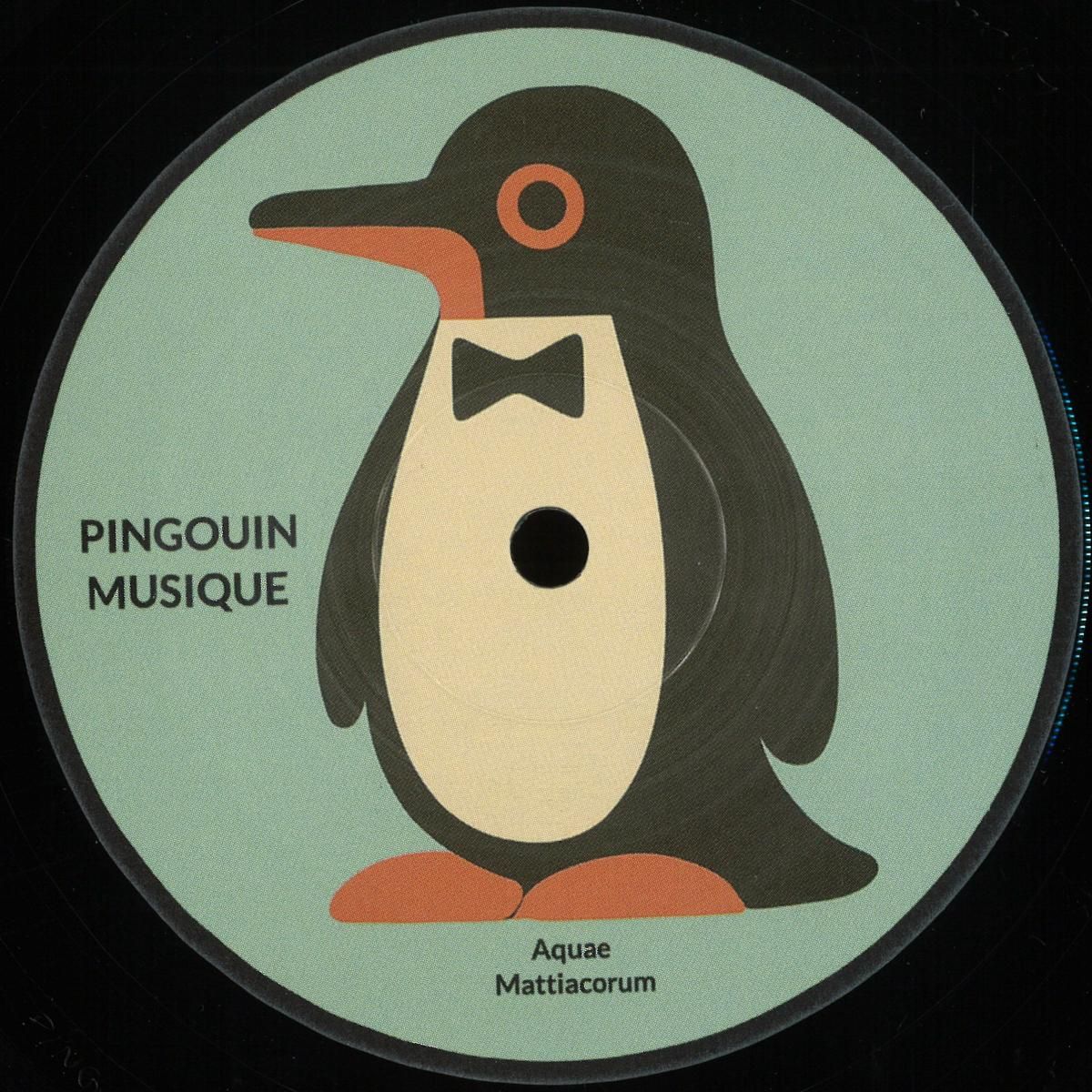 Zied Jouini - Hymn | Pingouin Musique (PINGU-003) - main Zied Jouini - Hymn | Pingouin Musique (PINGU-003) - main
