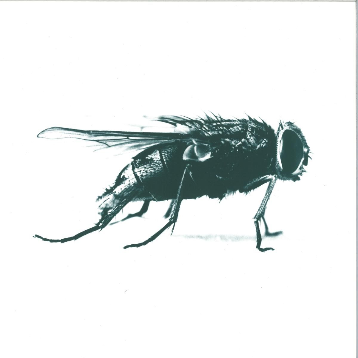 Raise & Sgt. & Risk - Sport10000 | Sport is Great (SPORT10000) - main Raise & Sgt. & Risk - Sport10000 | Sport is Great (SPORT10000) - main