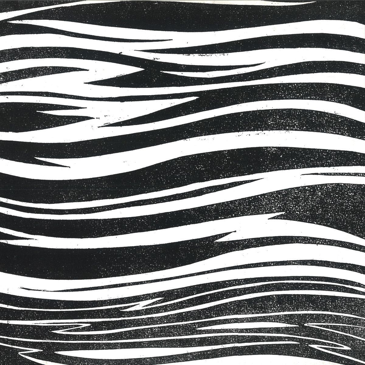 Mount Analogue - Spacious Present | Sunken Rock Recordings (SR12004)