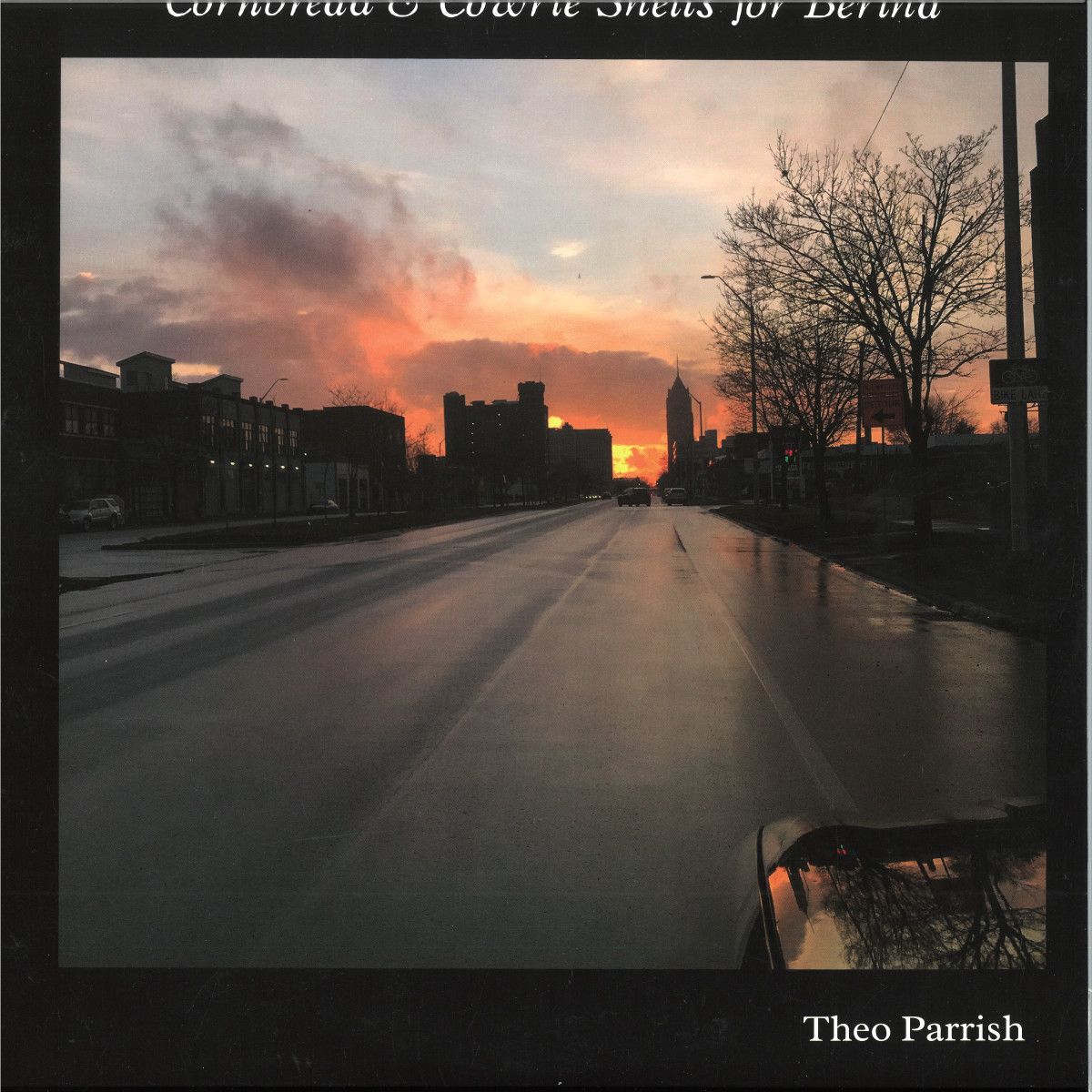 Theo Parrish - Cornbread & Cowrie Shells for Bertha 2x12" | Sound Signature (SS093/94) Theo Parrish - Cornbread & Cowrie Shells for Bertha 2x12" | Sound Signature (SS093/94)