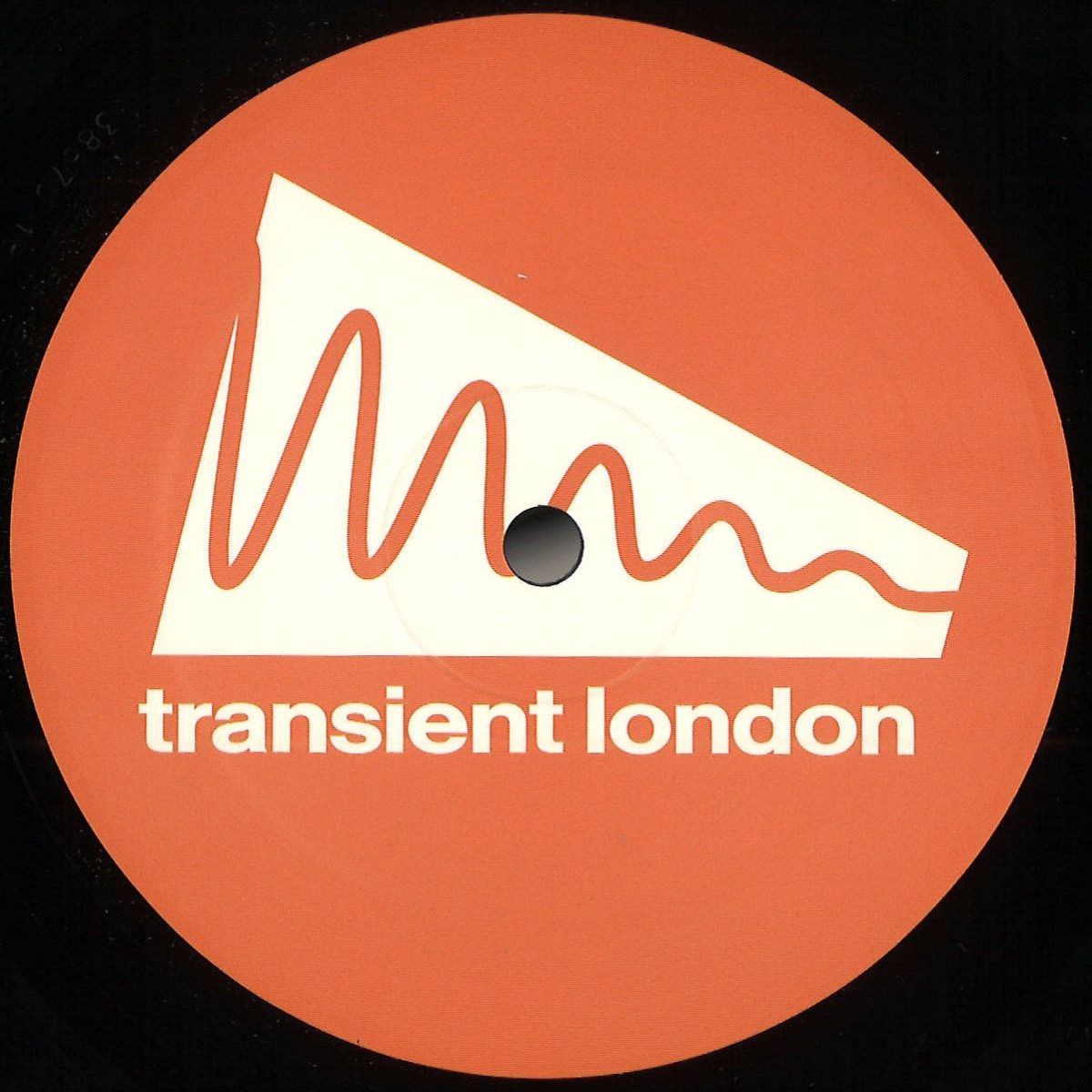 Various - Transient London 002 | Transient London Records (TLR002) - main
