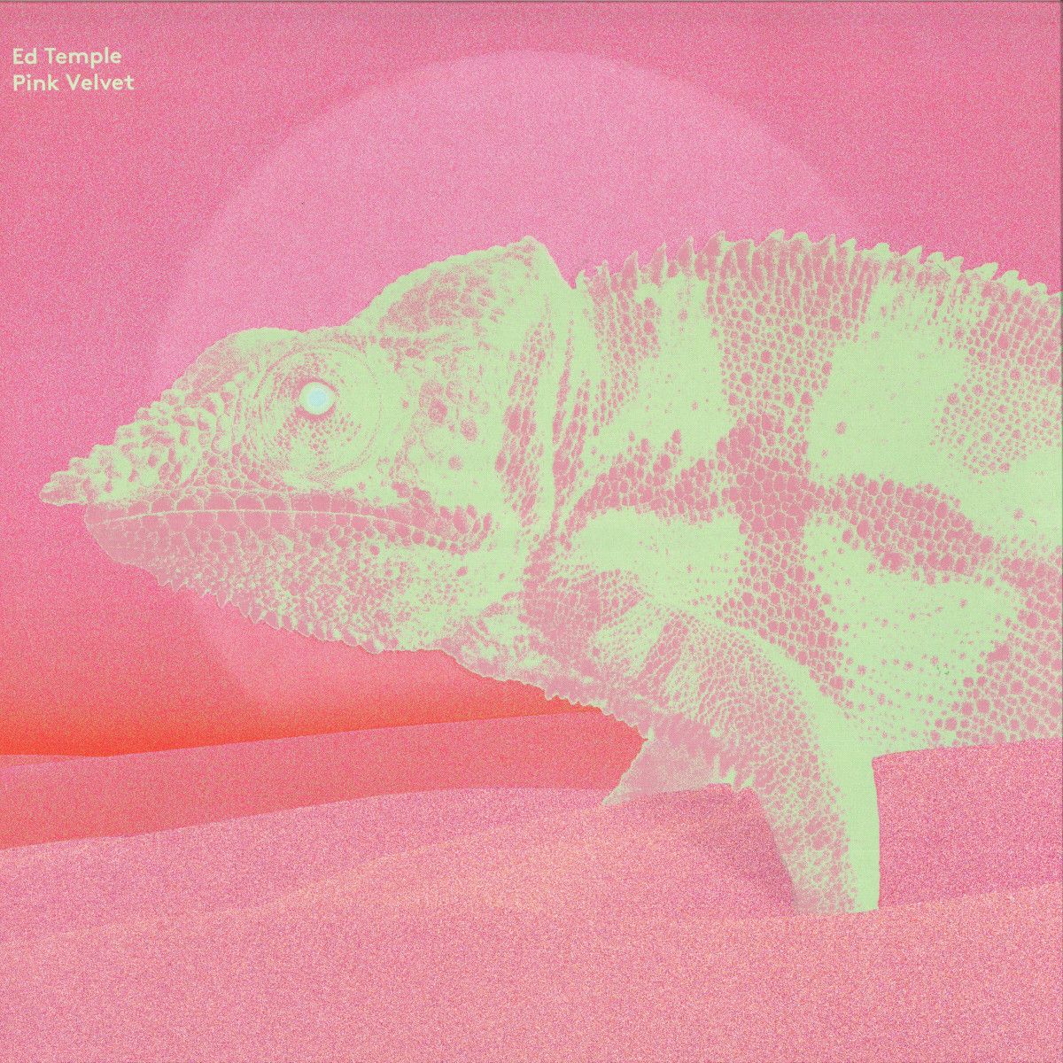Ed Temple - Pink Velvet | Temple Musiq (TMP002) - main Ed Temple - Pink Velvet | Temple Musiq (TMP002) - main