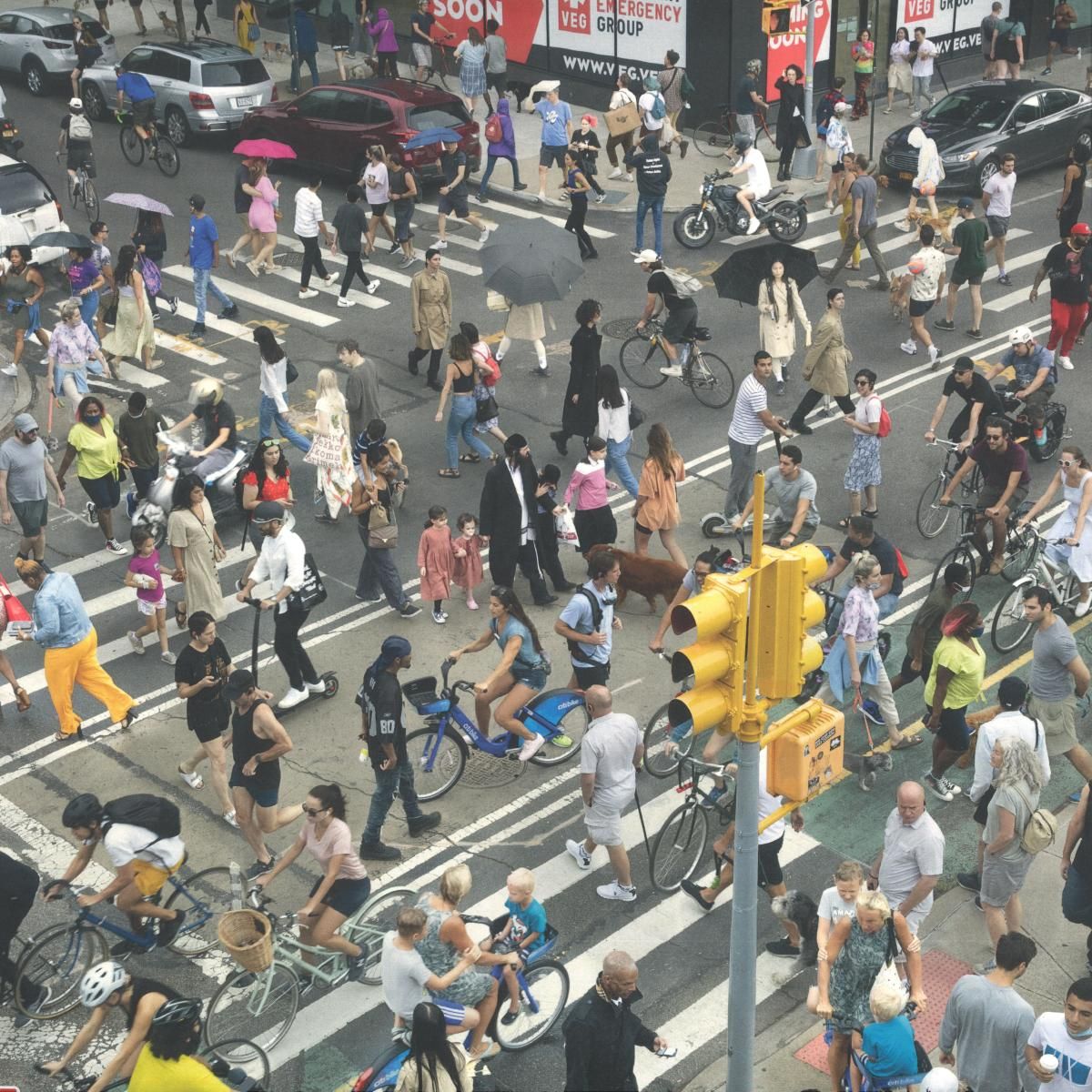 Facta - GULP | Wisdom Teeth (WSDMLP010) Facta - GULP | Wisdom Teeth (WSDMLP010)