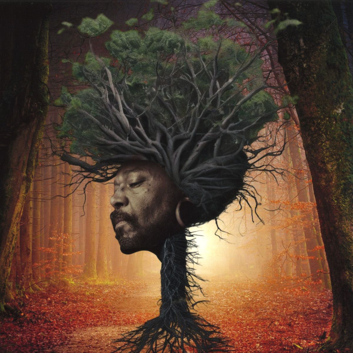 Osunlade - Inner Garden | Yoruba (YSD146) - main Osunlade - Inner Garden | Yoruba (YSD146) - main