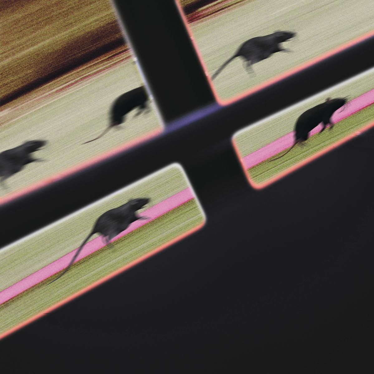 DJ JM - Rat Race | Fever AM (FAM17) - main