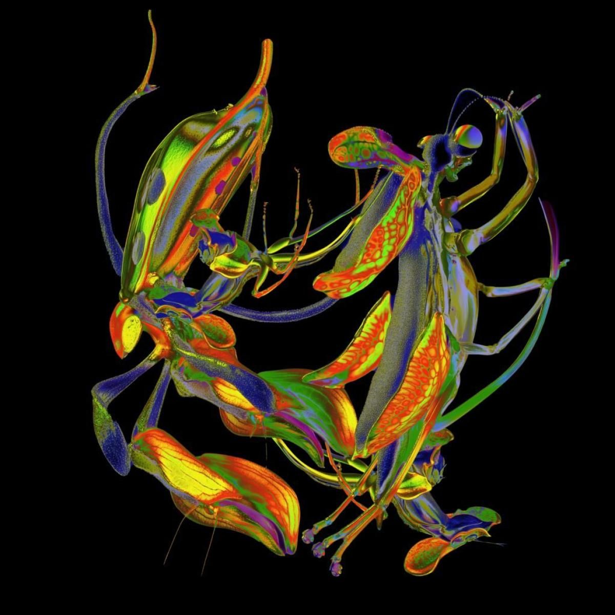 DJ Nobu - Shō | FABRIC ORIGINALS (FRO041) - main