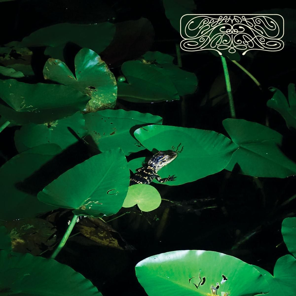 Crespi Drum Syndicate - Colada Talk LP | Cinnamon Disc (CS-002) - main