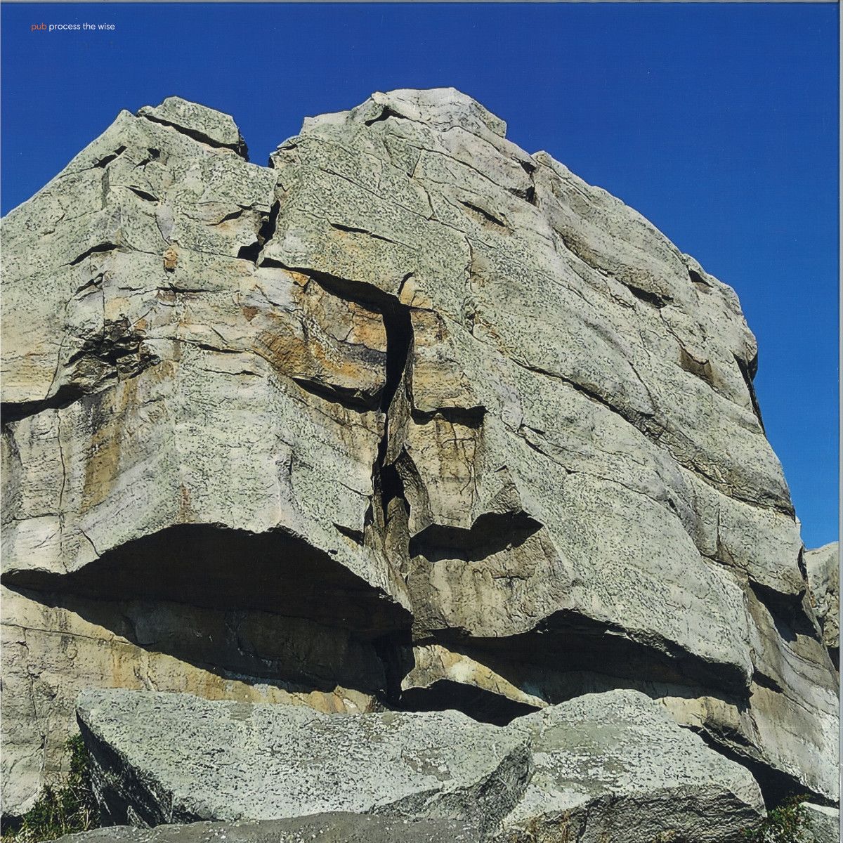 Pub - Process The Wise LP | Ampoule Records (AMPLP05) - main