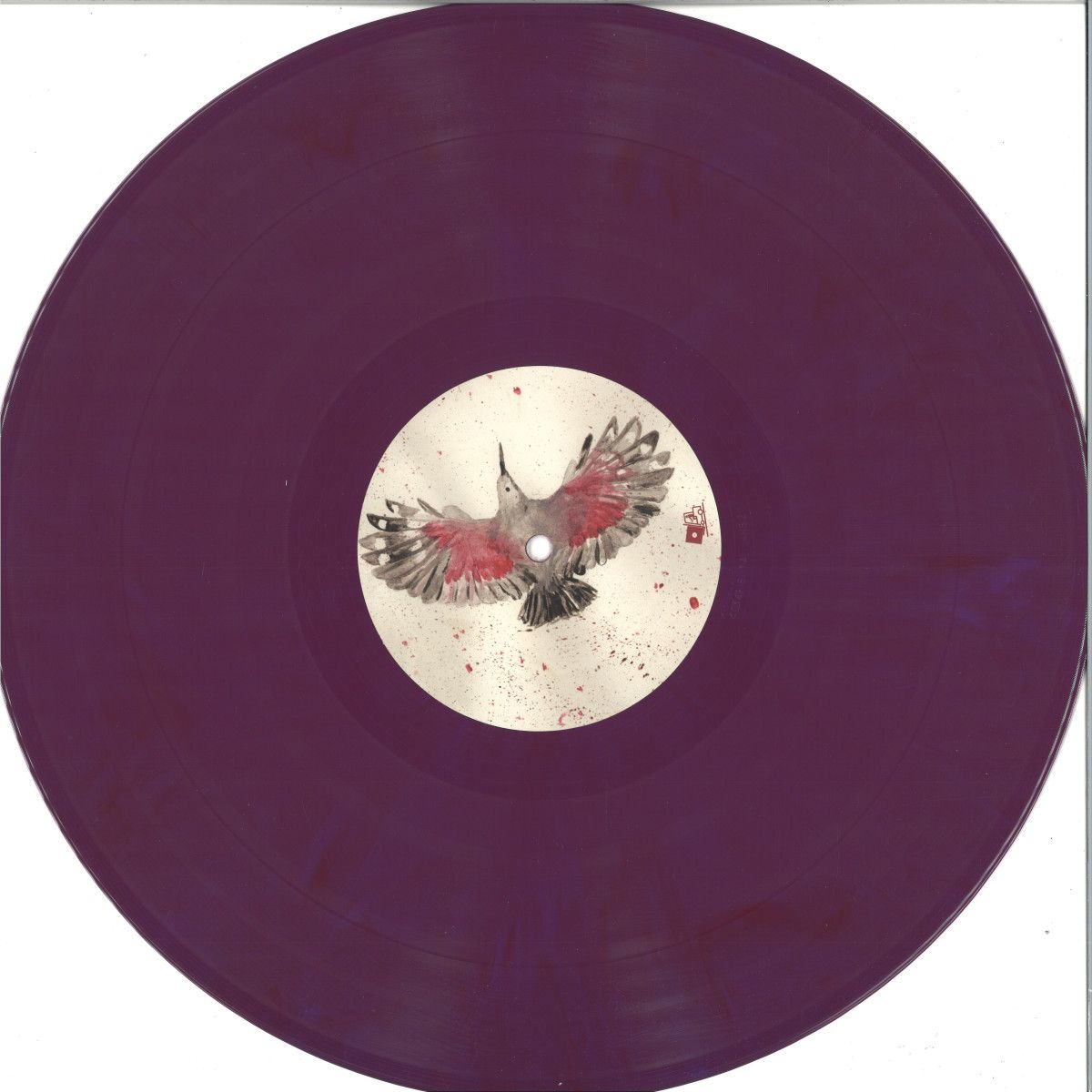 C.ysme & Dina Rocaille - Tichrodrome | Acid Night (AN52) C.ysme & Dina Rocaille - Tichrodrome | Acid Night (AN52)