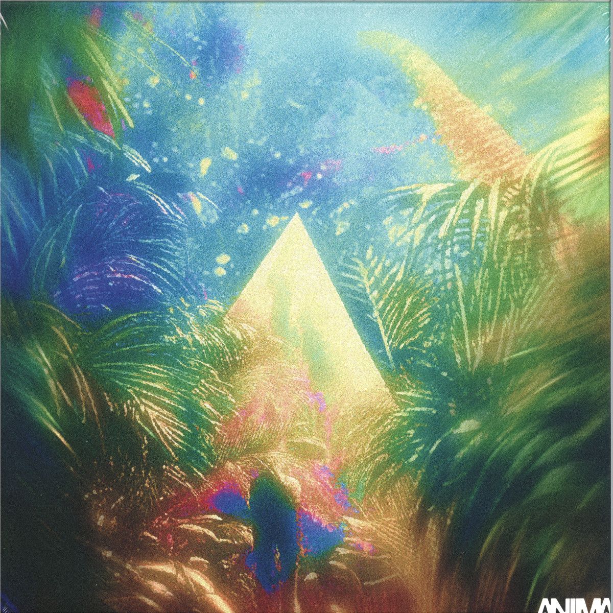 Various - JUNGLE | ANIMA Records (ANIMA002)