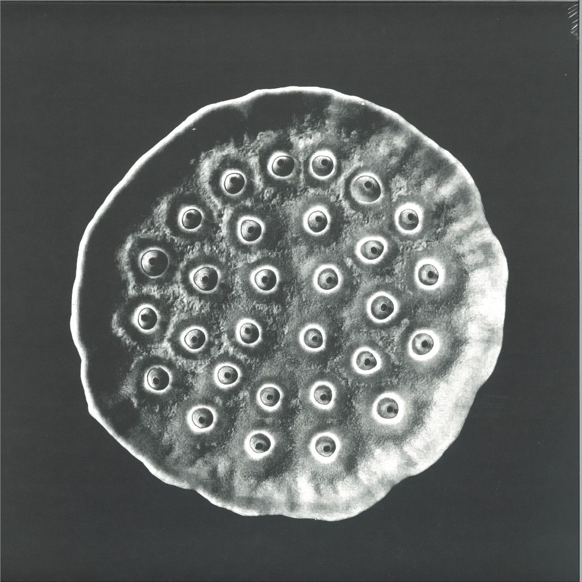 747 - Deep Space Opera EP | Aquaregia (AQR025) - main