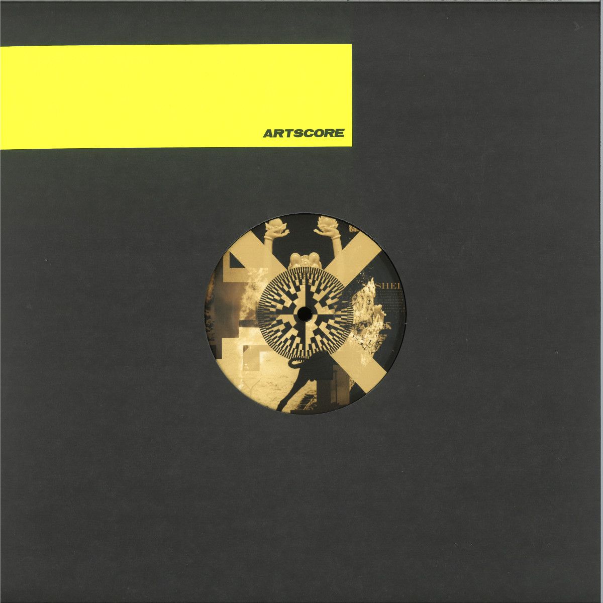 Emmanuel - Planned Obsolescence Shed | ARTS (ARTSCORE025)