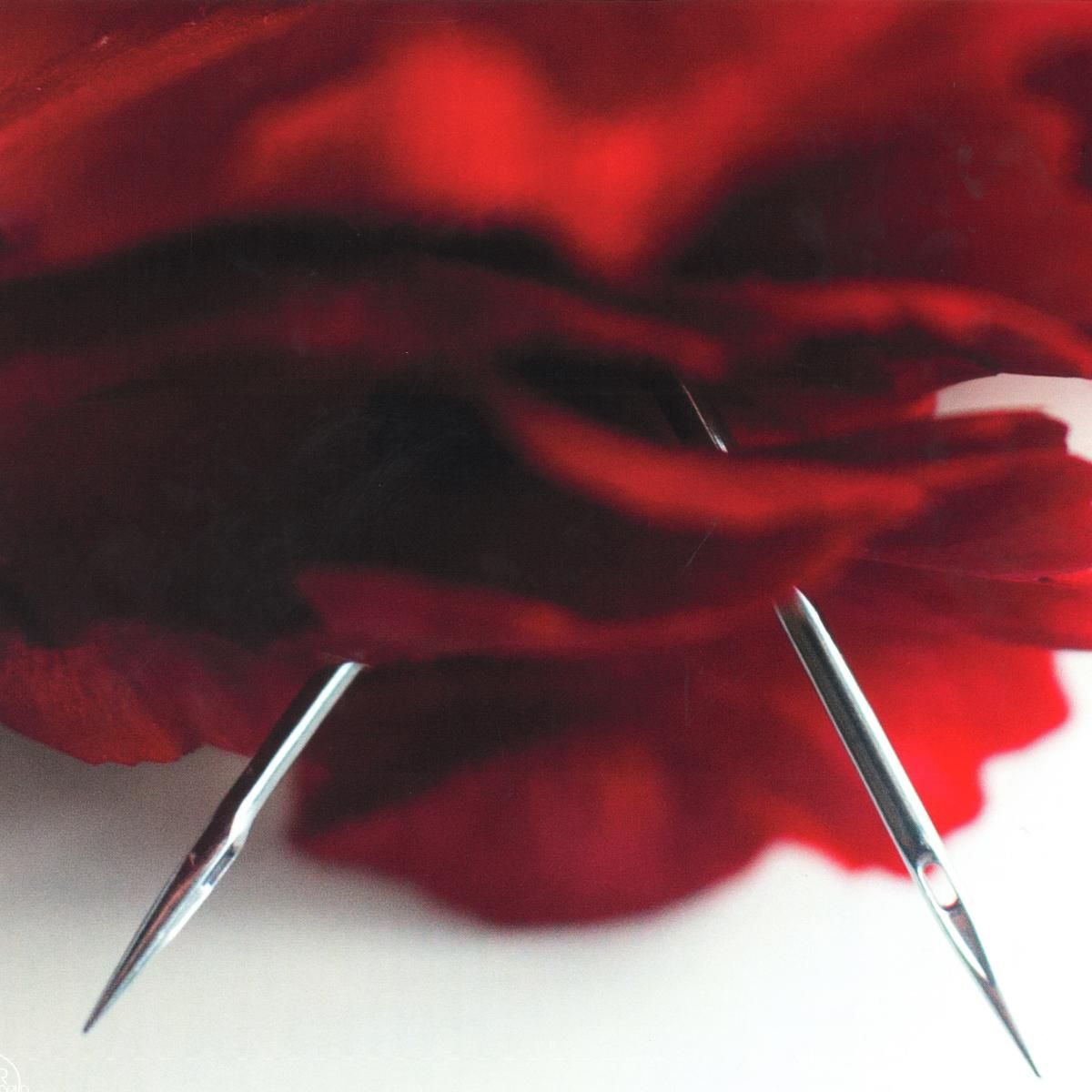 Rostøm & Tauceti & Kaiser - Carne LP | Anothr World (AW02) - main Rostøm & Tauceti & Kaiser - Carne LP | Anothr World (AW02) - main