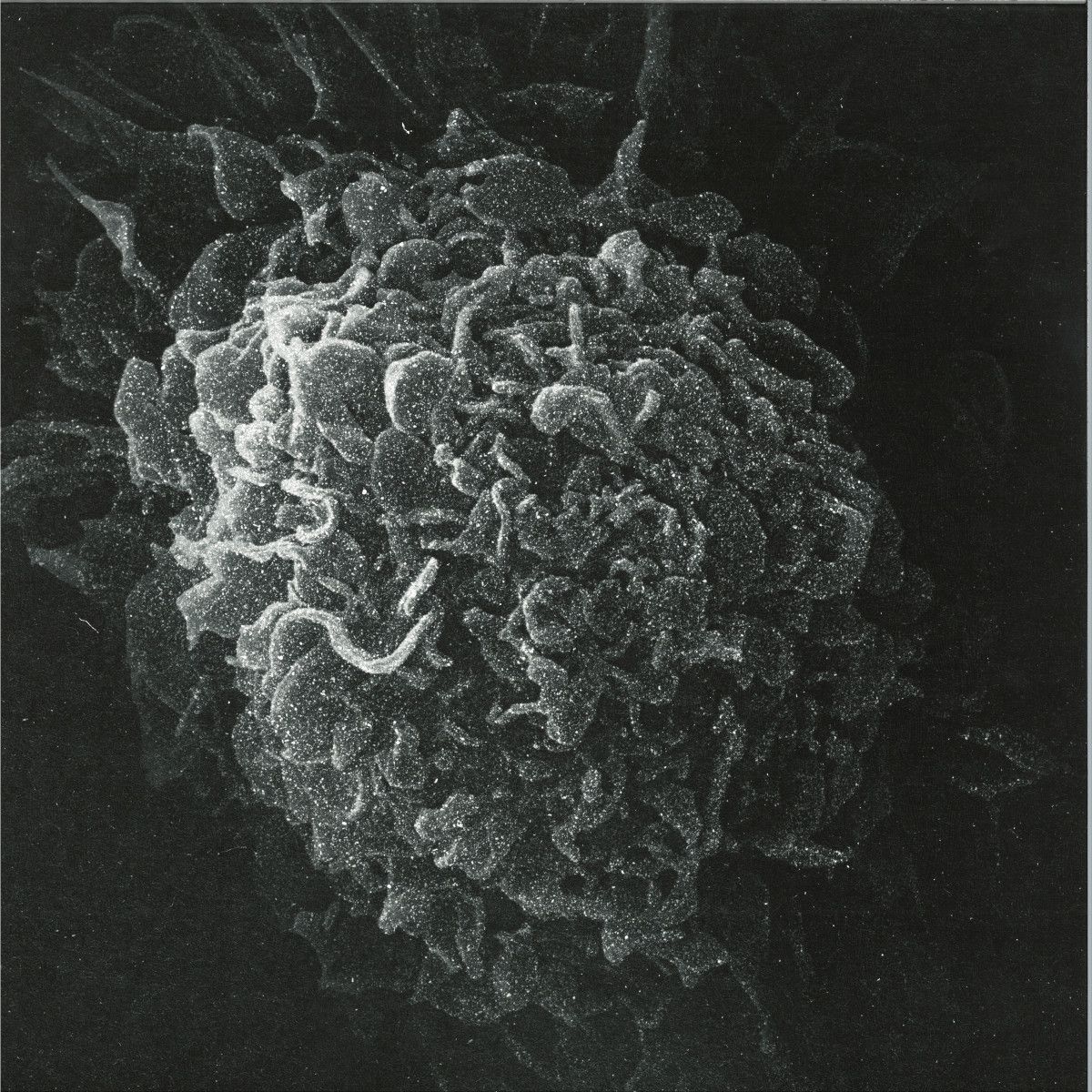 Kashpitzky - Romantic & Dead 2x12" | Be as One (BAOXX02) Kashpitzky - Romantic & Dead 2x12" | Be as One (BAOXX02)