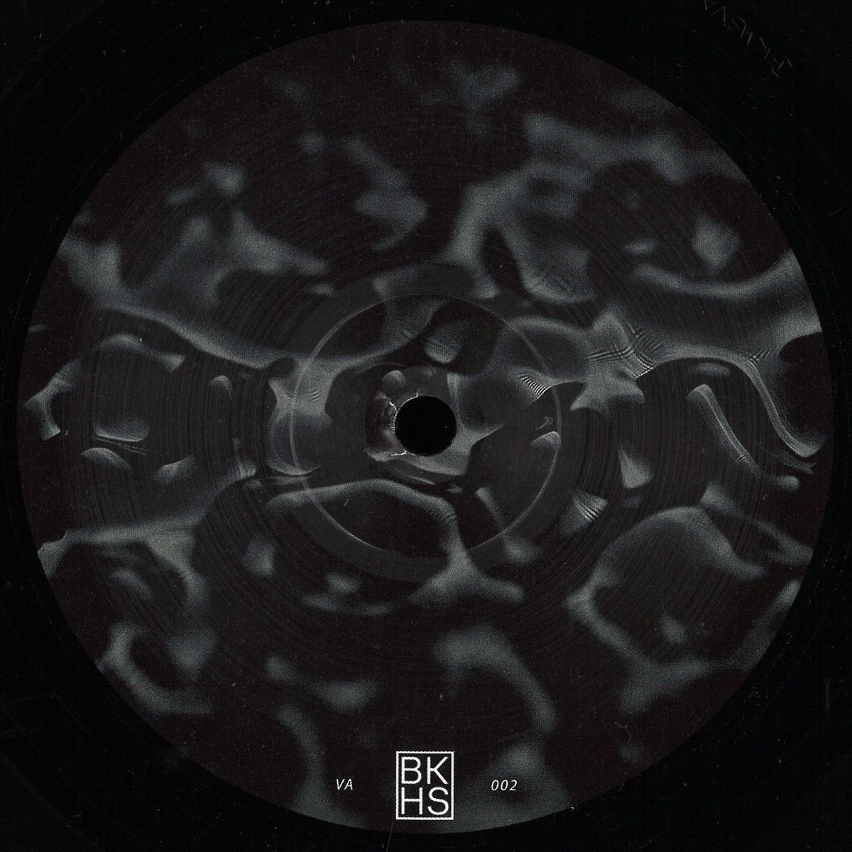 Various - Backhaus VA Vol. 2 | Backhaus (BKHSVA002) - main Various - Backhaus VA Vol. 2 | Backhaus (BKHSVA002) - main