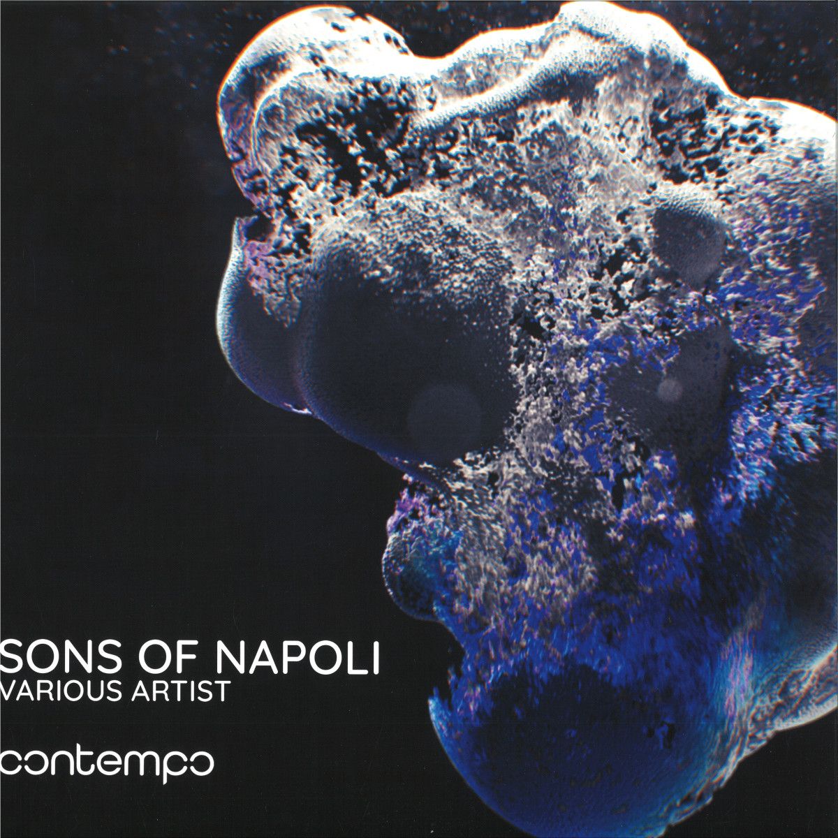 Various - Sons Of Napoli | Contempo (CNTMP010) - main