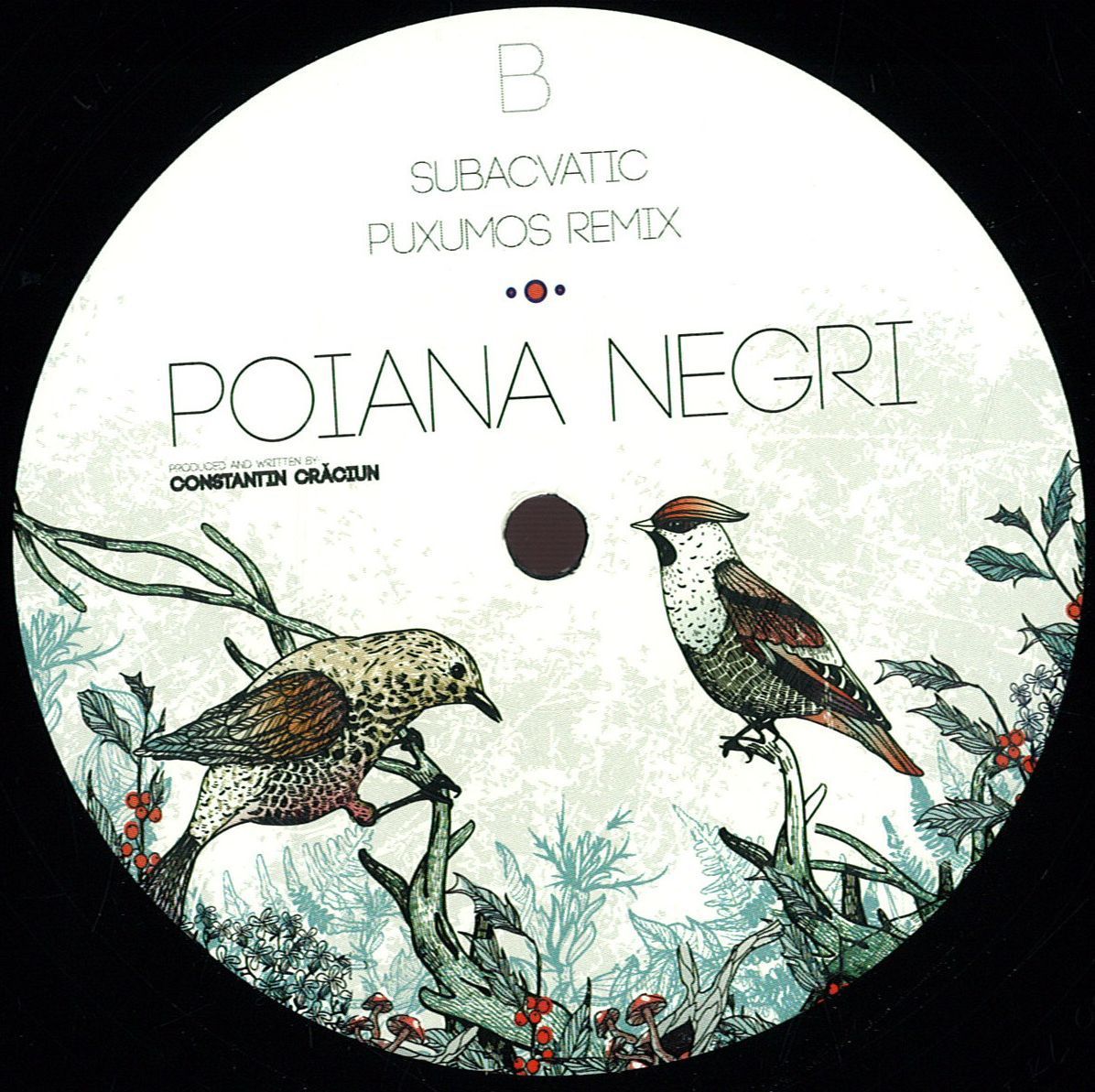 Poiana Negri - Subacvatic Ep | Diferit Records (DFRL001) - main