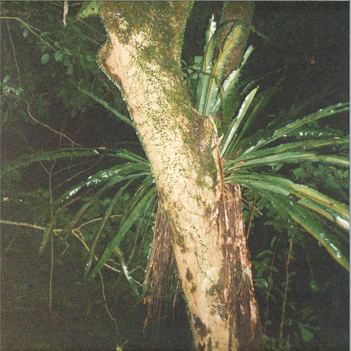 Artefakt  &  Maayan Nidam - Collaborations II | De Stijl (DS-06) - main