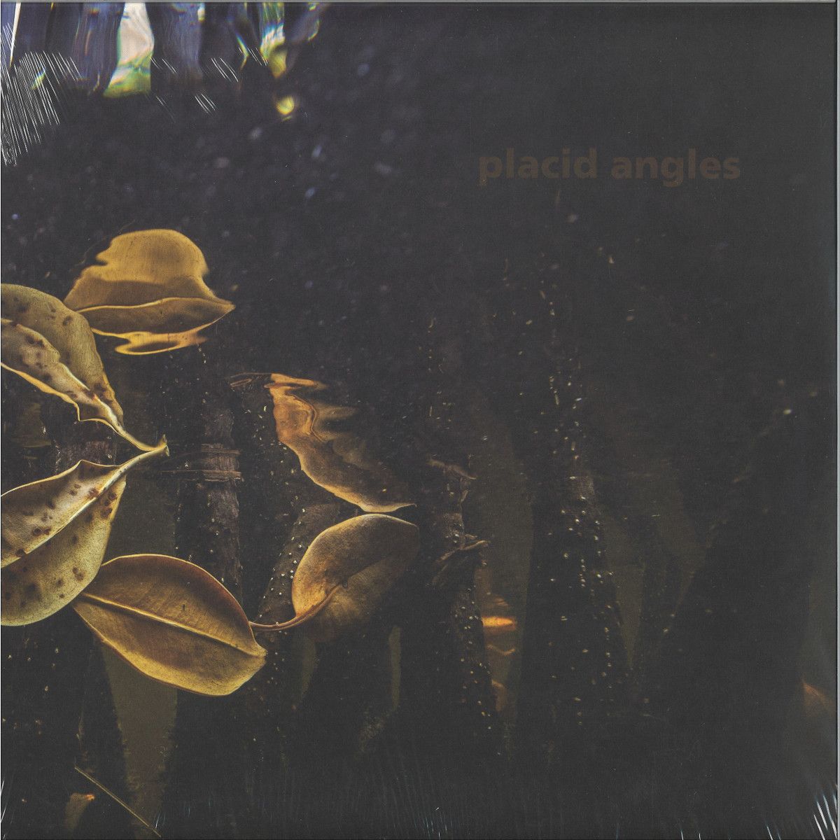 Placid Angles - Touch The Earth 3x12" | Figure (FIGURELP07) - main