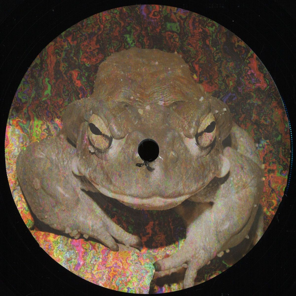 Bald Headed Dred - The Dred Knought | Frog Records (FROG1) Bald Headed Dred - The Dred Knought | Frog Records (FROG1)