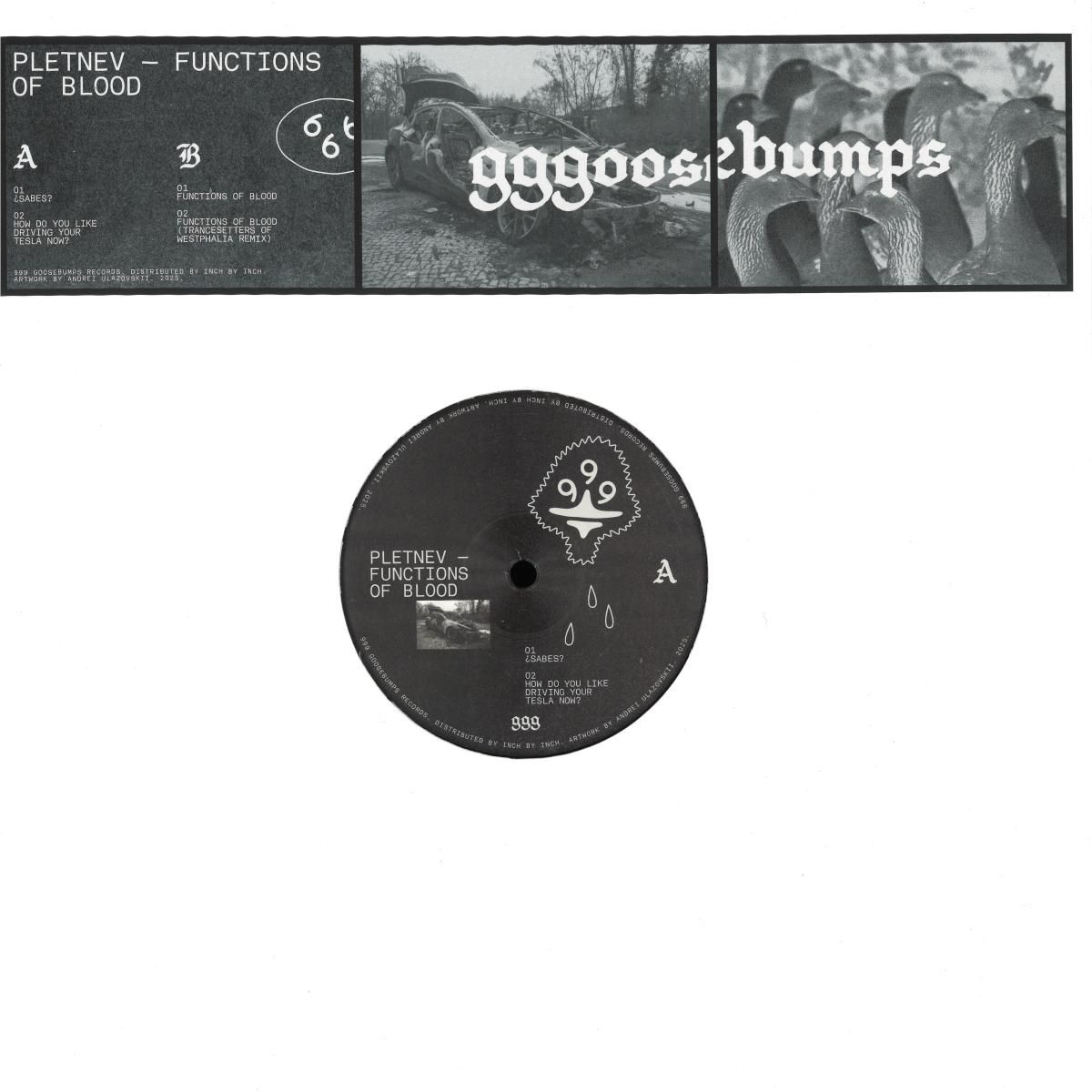 Pletnev - Functions of Blood | 999 Goosebumps (GSB01)