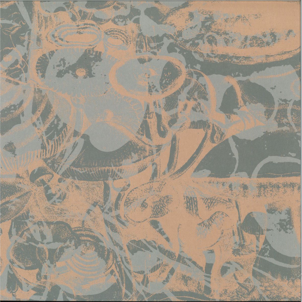 The Jaffa Kid - Phyalla LP 2x12" | Gated Recordings (GTDLP8)