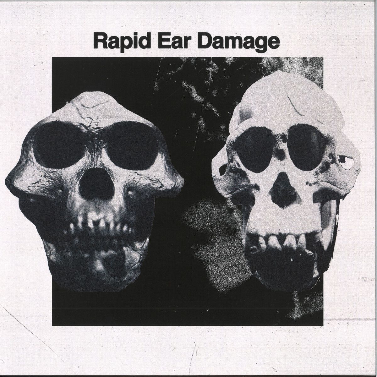 Rapid Ear Damage - R.E.D. LP | Höga Nord Rekords (HNRLP031) - main