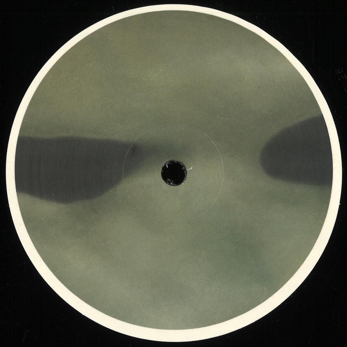 Feral - Woodland | Hypnus Records (HYPNUS028RP) - main