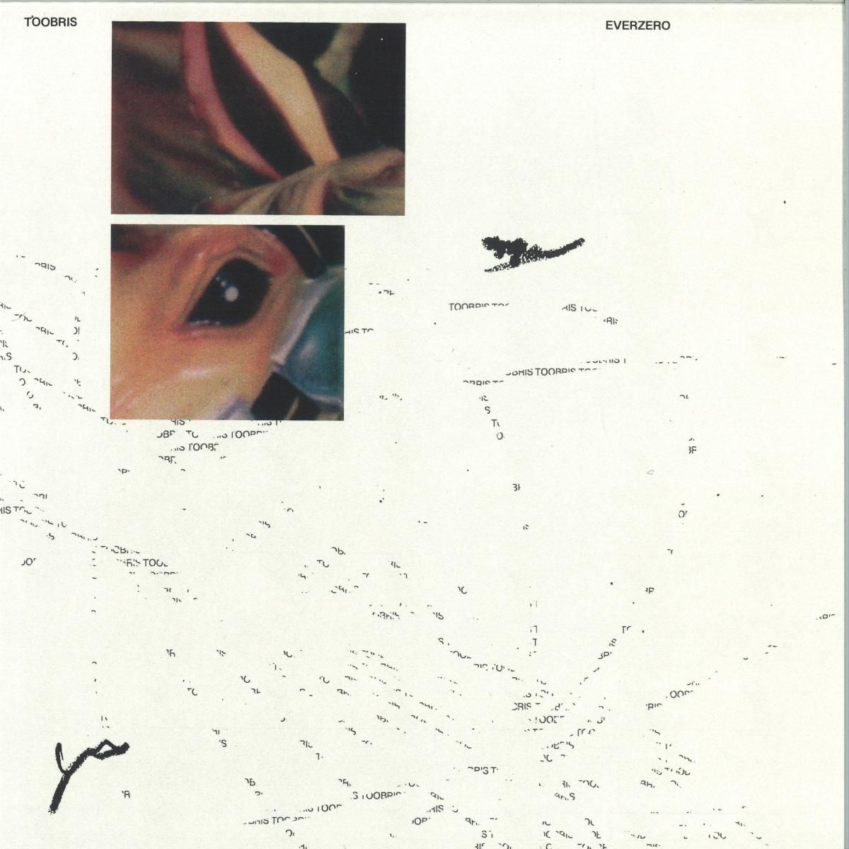 Toobris - Everzero LP | HAYES (HYSEP64) - main Toobris - Everzero LP | HAYES (HYSEP64) - main