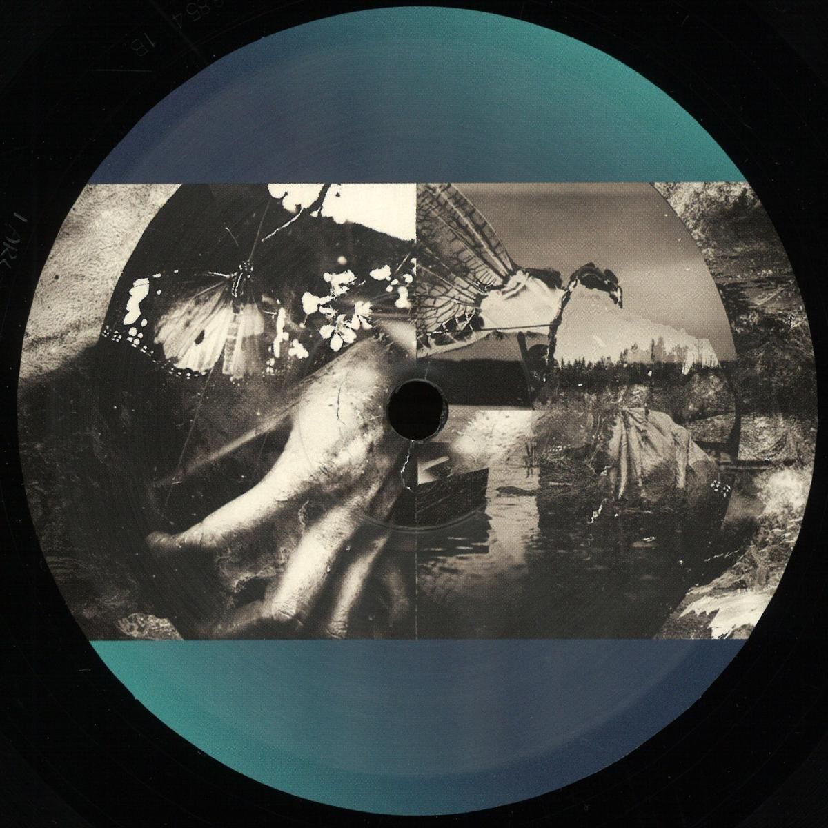 Various - Horizons Sampler: One | Illegal Alien Records (IARLTDT019)