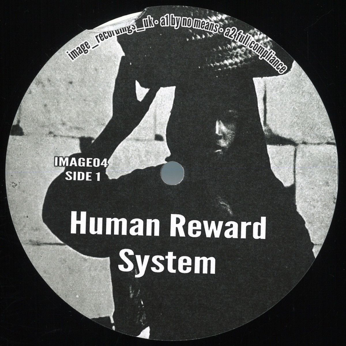 Other - Human Reward System | Image Recordings (IMAGE04)