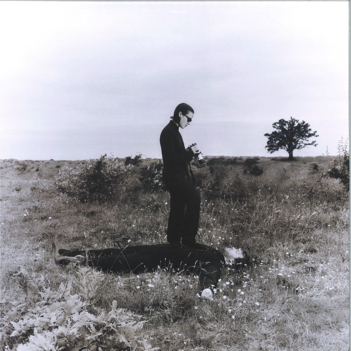 A Spiral Walk - Summer of Insomnia | Intercept (INT069LP)