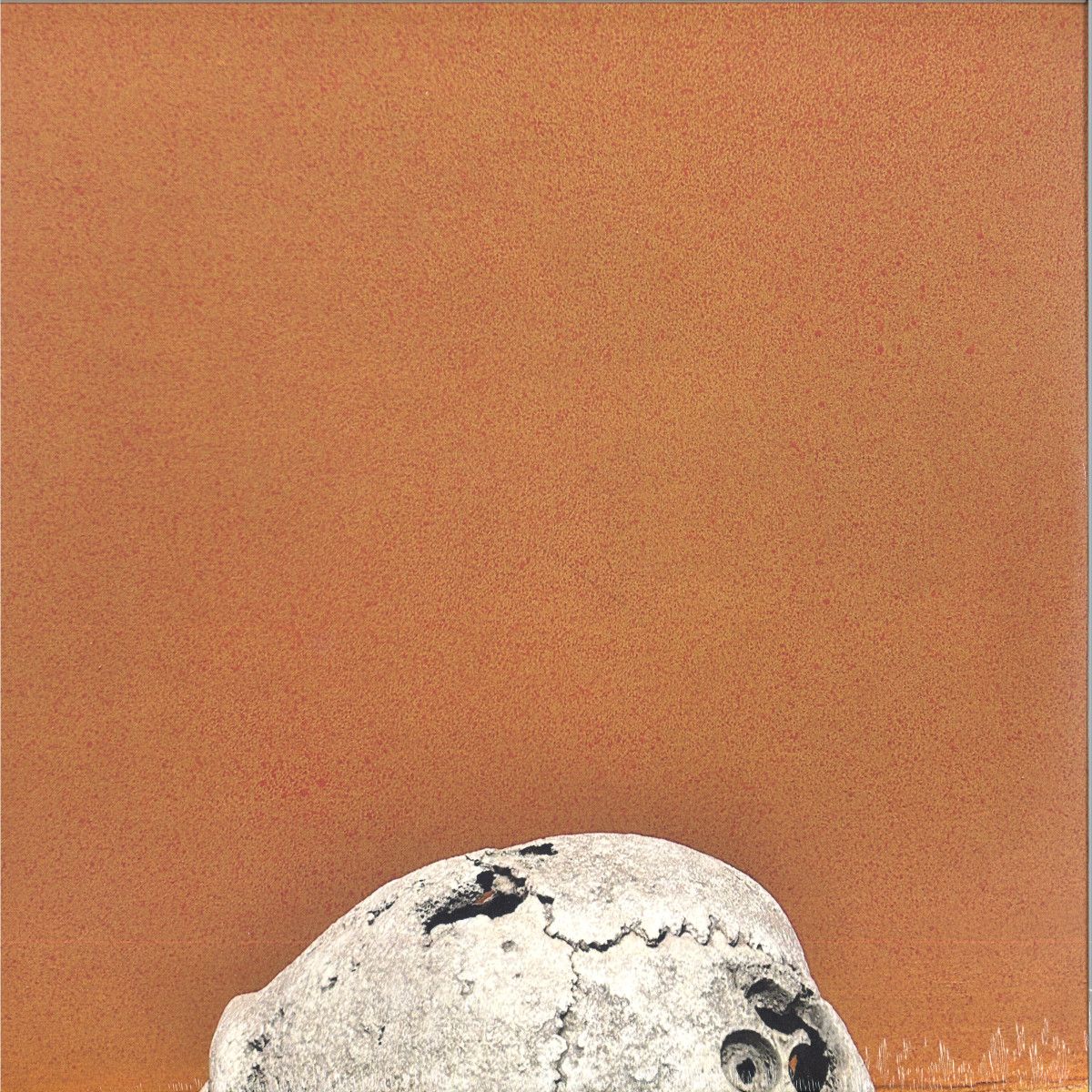 Skee Mask - Resort LP 2x12" | Ilian Tape (ITLP19)