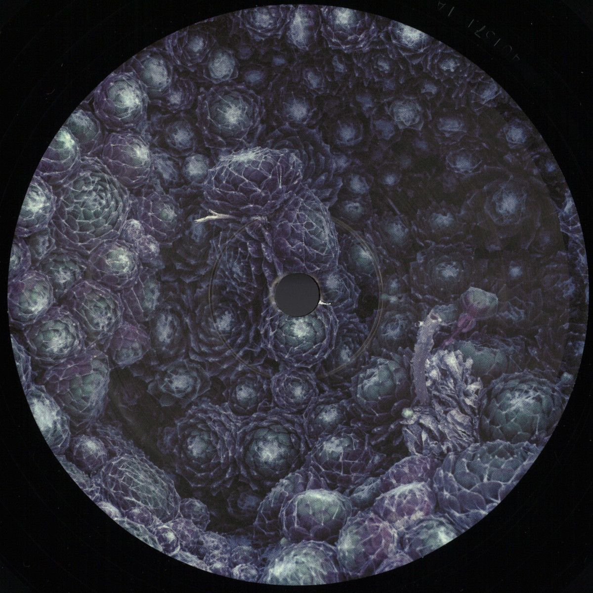 ORBE - Incremental | K S R (KSR012)