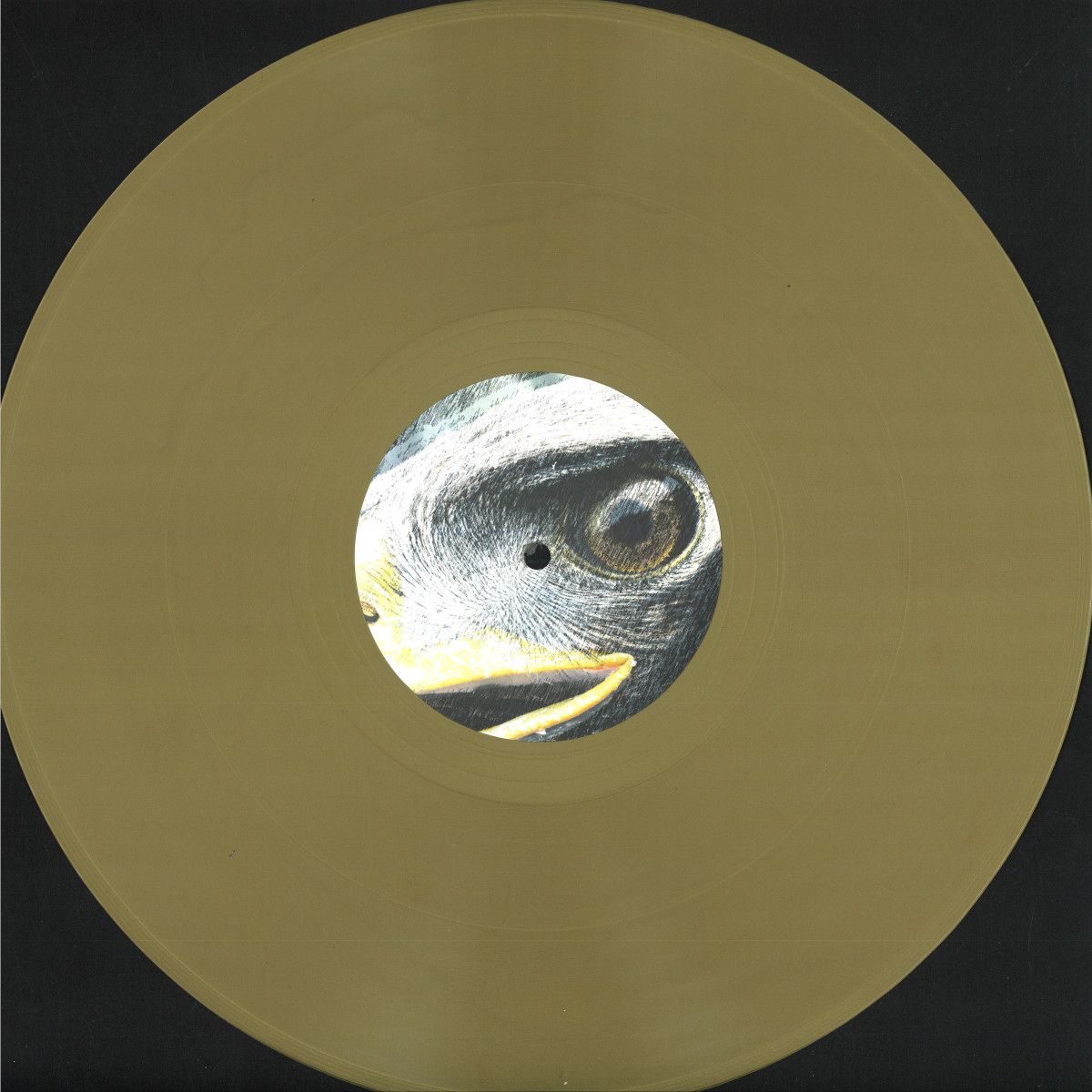 Dan*Eds - Yr Elen (Elen’s Hill) | The Legend of Gelert (LOG3000.12) - main