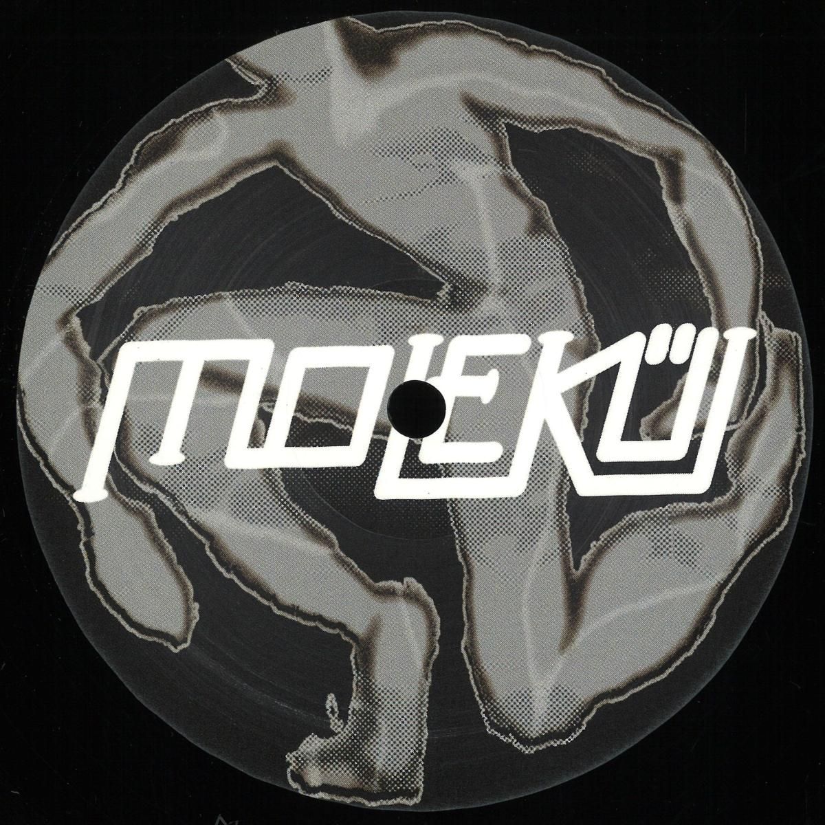 Trudge - First Session EP | Molekül (MLKL045)
