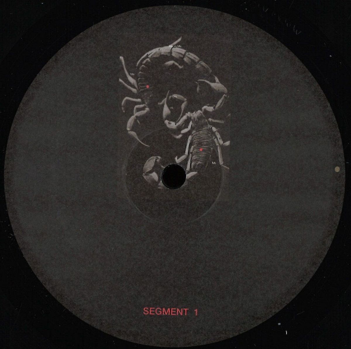 Developer - Sangre Por Oro LP Part A | Modularz Music (MODULARZ046A) Developer - Sangre Por Oro LP Part A | Modularz Music (MODULARZ046A)