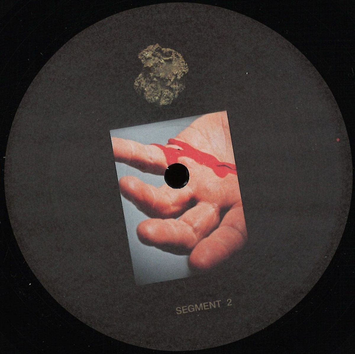 Developer - Sangre Por Oro LP Part B | Modularz Music (MODULARZ046B)