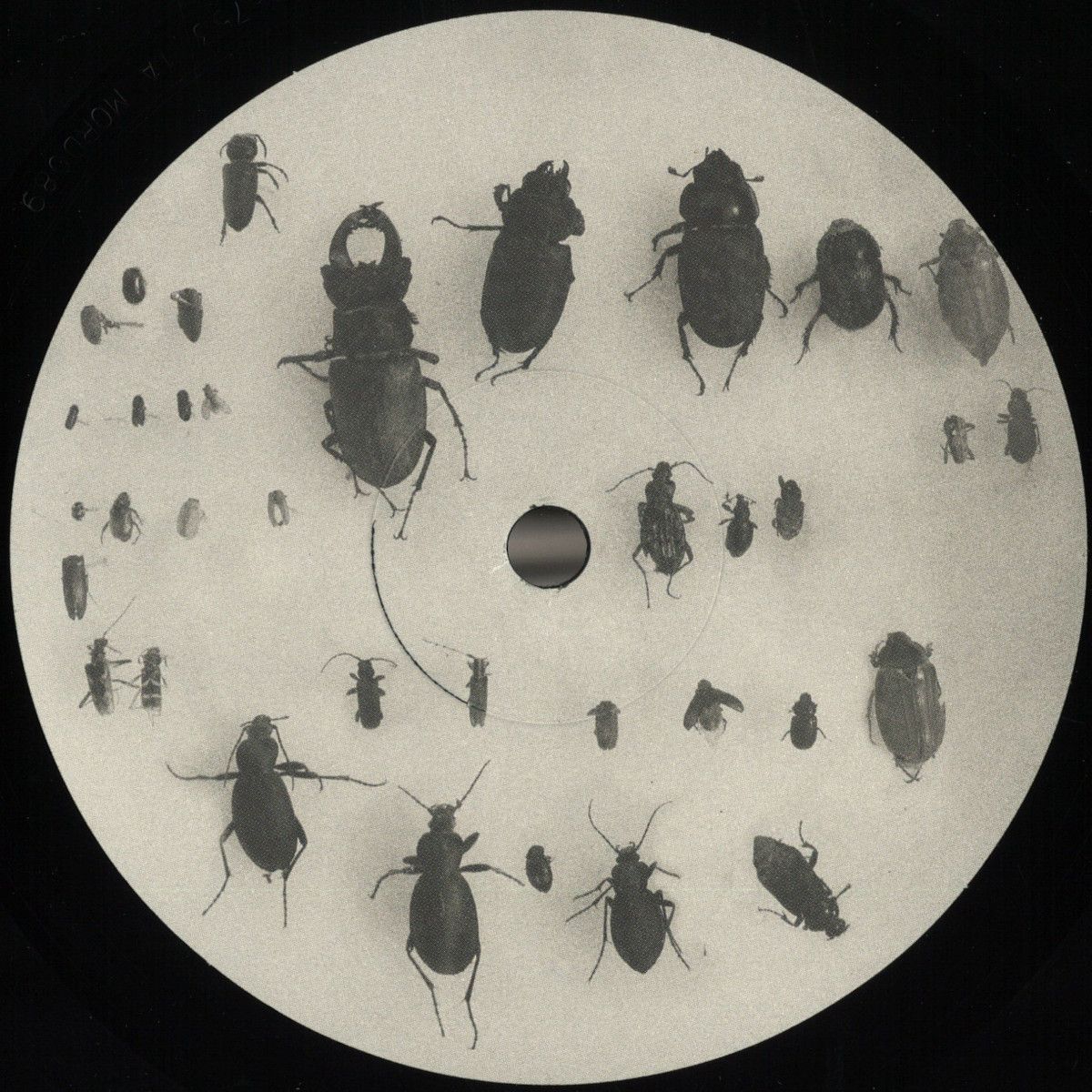 Lewis Fautzi - You Can't Step On the Same Risk Twice EP | Mord Records (MORD089)