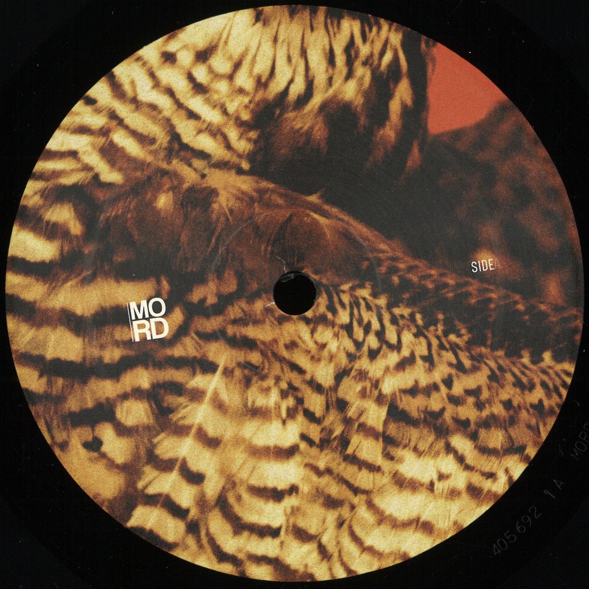 Amorphic  &  Tensal - Highland Frequencies EP | Mord Records (MORD113) - main