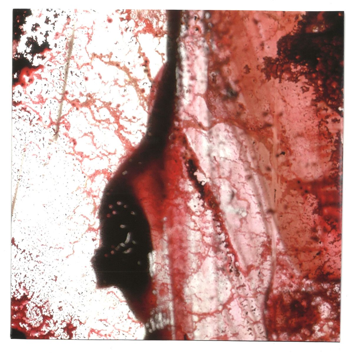 Purgate - Hæresis 10!" | Metaphysik (MP313.3) - main Purgate - Hæresis 10!" | Metaphysik (MP313.3) - main