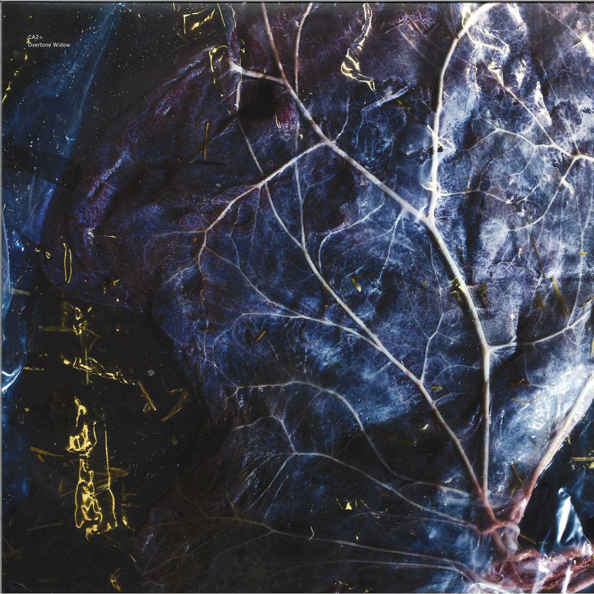 Ca2 - Overtone Widow | Northern Electronics (NE70)