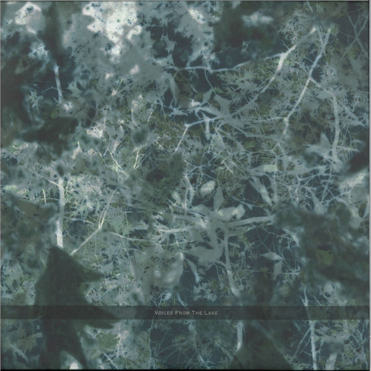 Voices From The Lake - Voices From The Lake (2023 Edition) 4x12" | Spazio Disponibile (SPAZIO025) Voices From The Lake - Voices From The Lake (2023 Edition) 4x12" | Spazio Disponibile (SPAZIO025)
