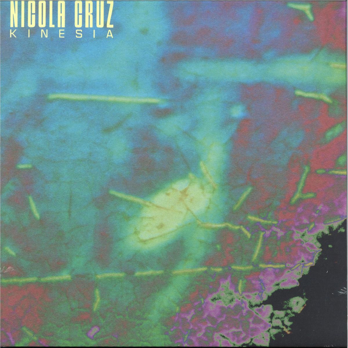 Nicola Cruz - Kinesia | Nous klaer Audio (NOUSLP010)