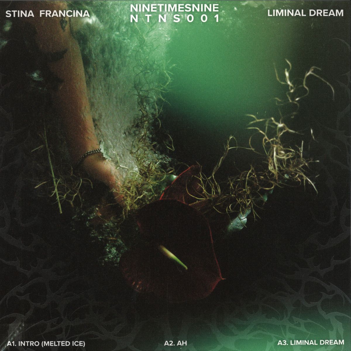 Stina Francina - Liminal Dream | NineTimesNine (NTNS001) Stina Francina - Liminal Dream | NineTimesNine (NTNS001)