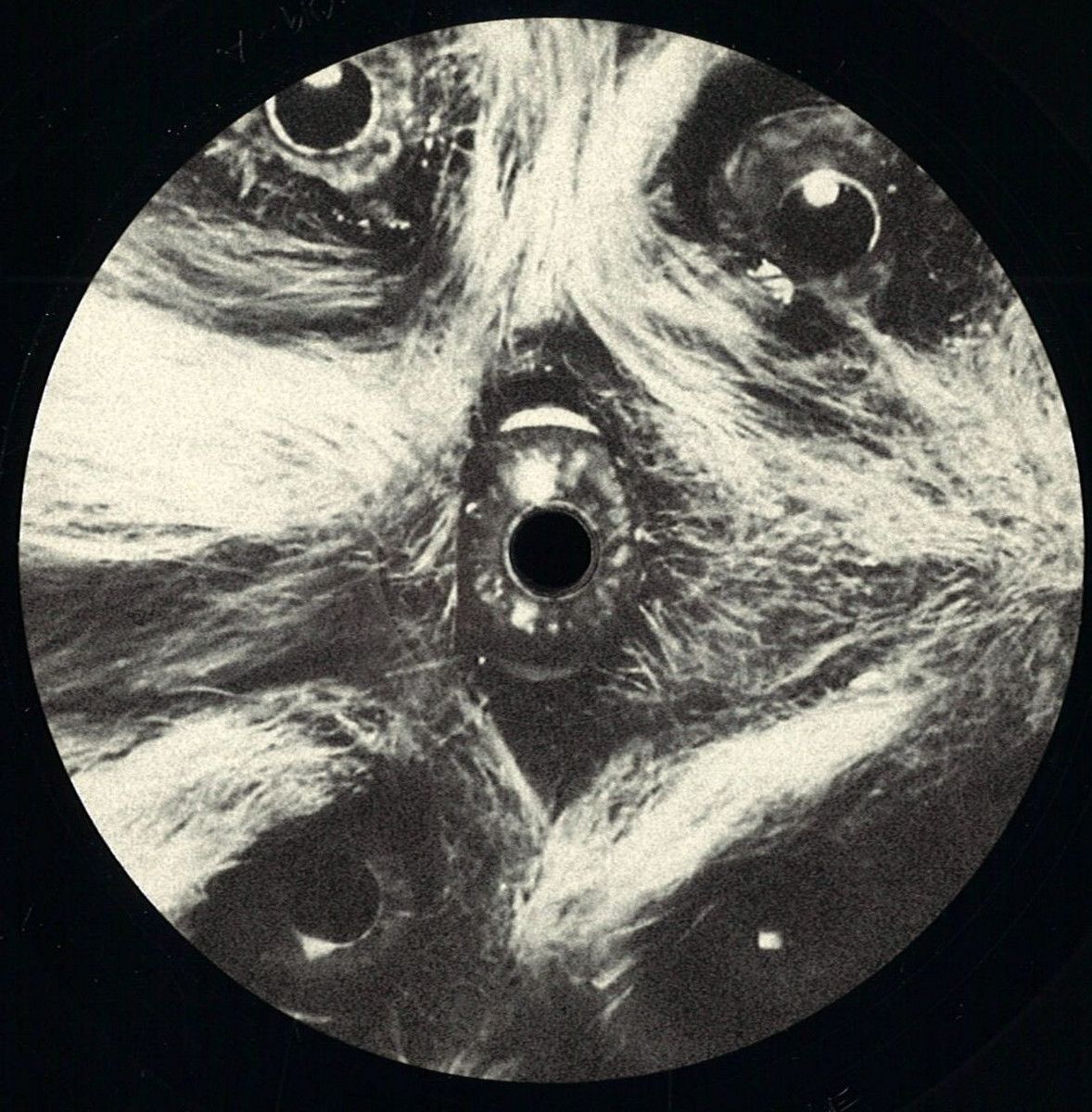 Antoni Maiovvi - The Ken Russell E | Omnidisc (OMD019) - main