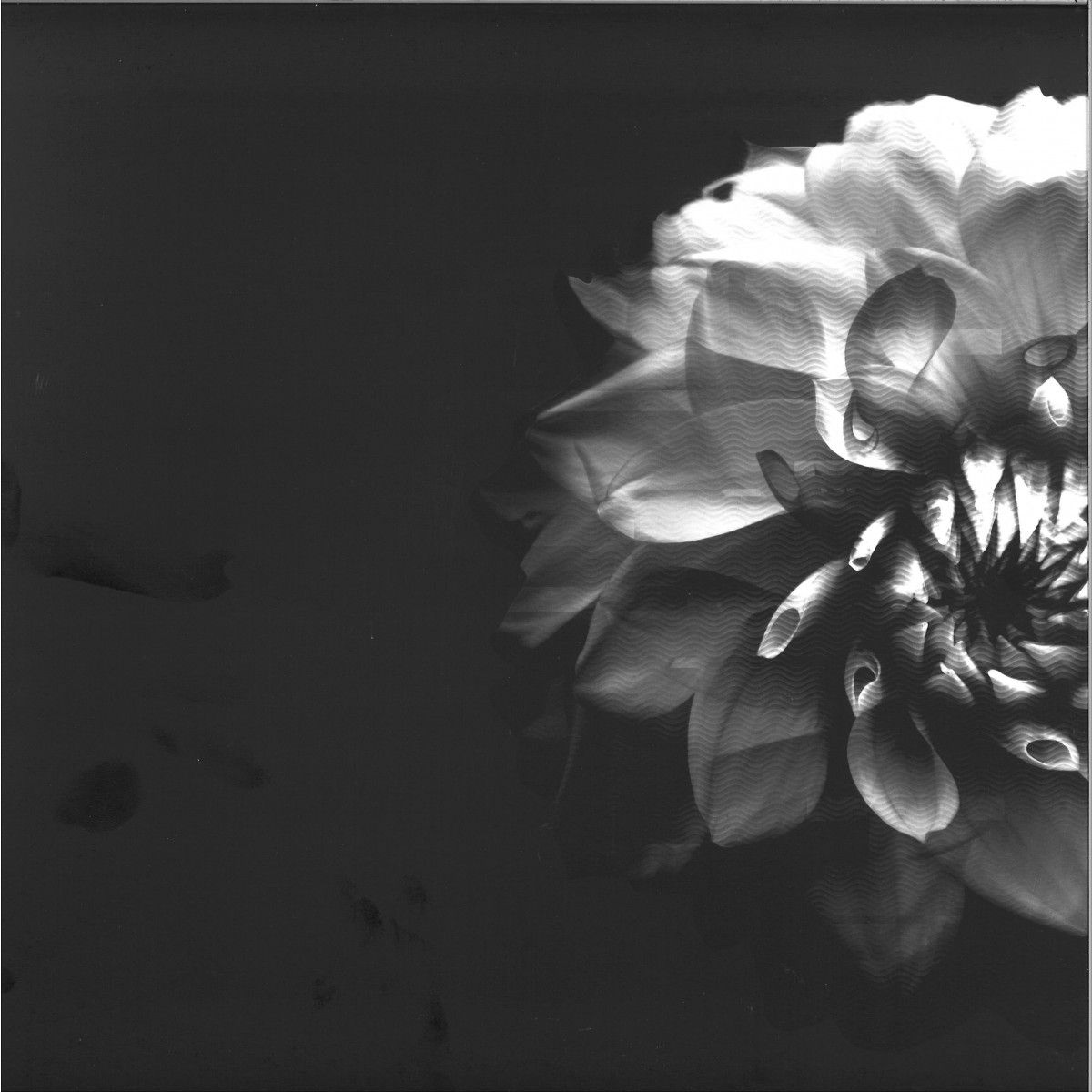 Trübtone - Cyberlife - Psychotria | PAERER RECORDS (PA006) - main