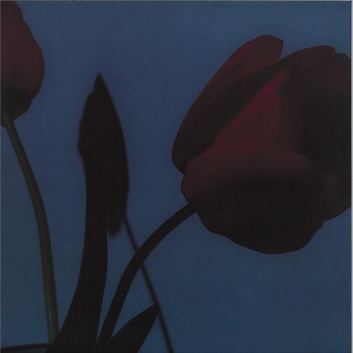 Various - A Model Kit | Platz für Tanz (PFTV2025V01) - main Various - A Model Kit | Platz für Tanz (PFTV2025V01) - main