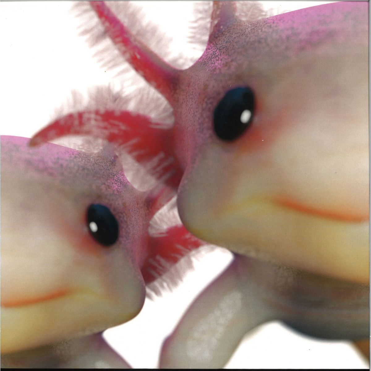 Affekt Unit - Discorgy EP | Philoxenia (PHLX004) - main Affekt Unit - Discorgy EP | Philoxenia (PHLX004) - main